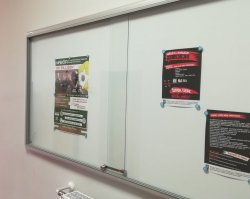 Plakat kampanii wiszący na tablicy ogłoszeń w szkole